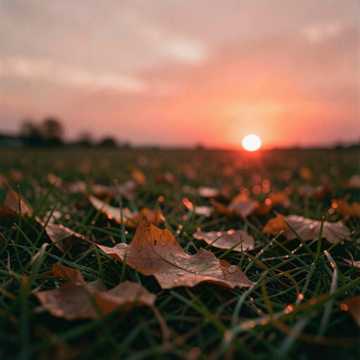 листья на сырой земле (v.2)