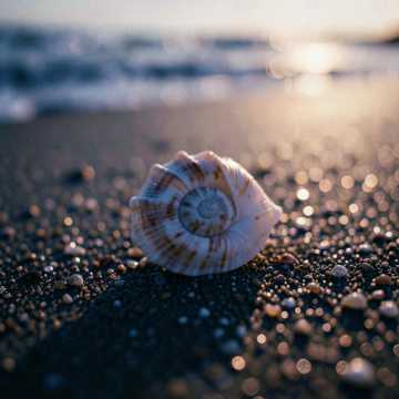 Твоё имя (v.2) (v.2)