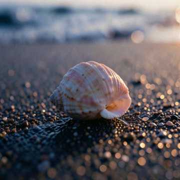 Твоё имя (v.2) (v.3)