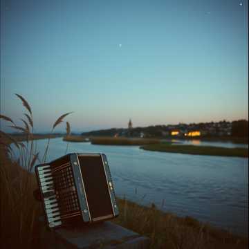 Влюблённая гармошка (v.2)