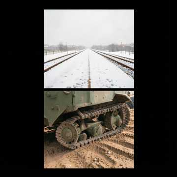 Обложка трека Белые медведи из Рубцовска