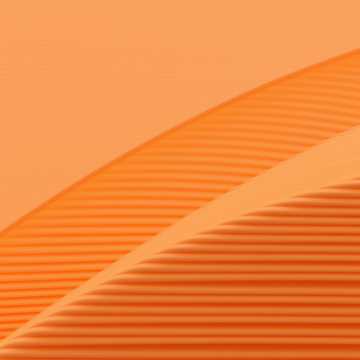 Джа благословит, Зотов