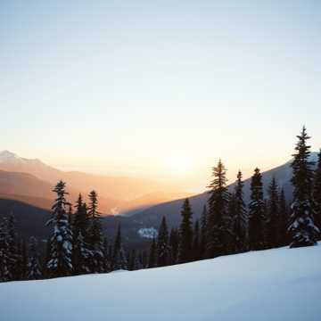 Зимовать (v.2)