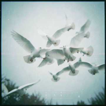 Обложка трека “Trance Twist”