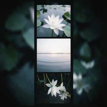 Обложка трека Echo of Calm (Эхо покоя) ↗️
