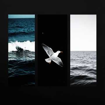 Обложка трека Vent de Mer (v.2)